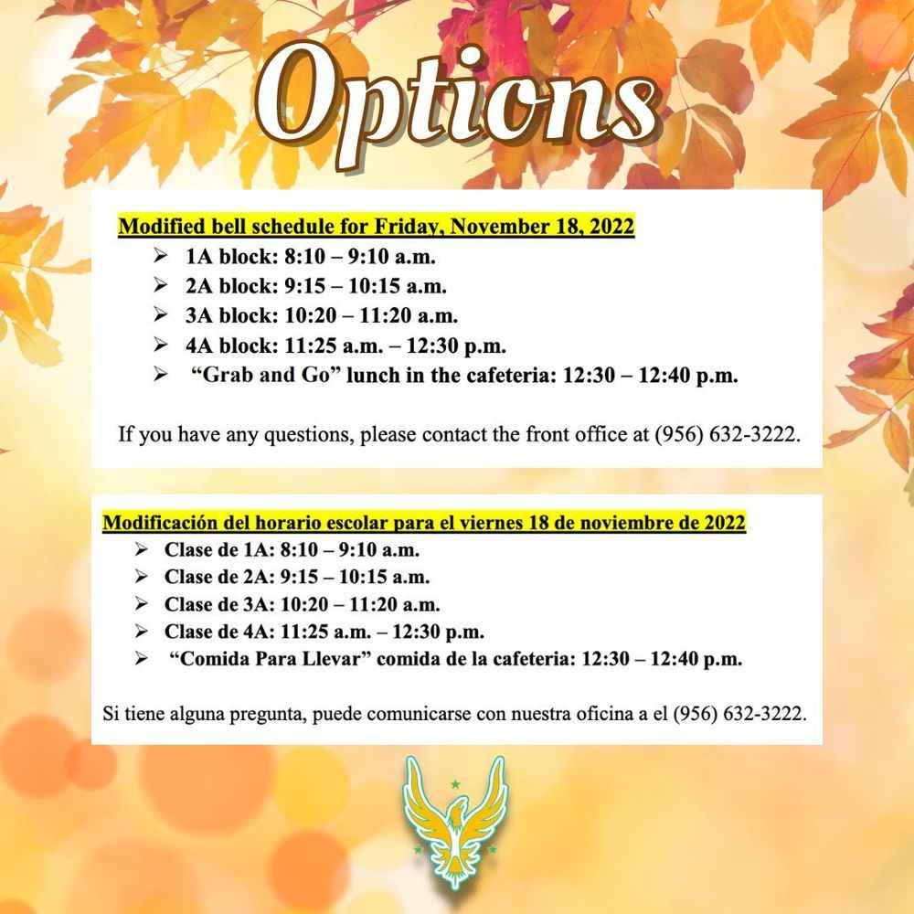 Options Mod Schedule