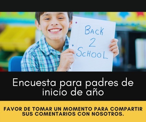 spanish survey