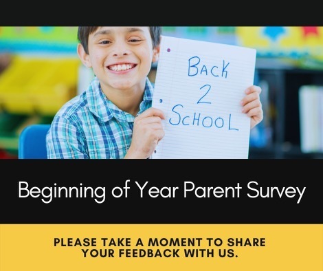 beginning of the year survey