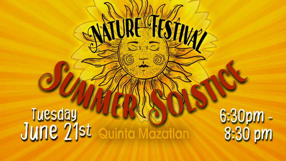 Summer solstice logo