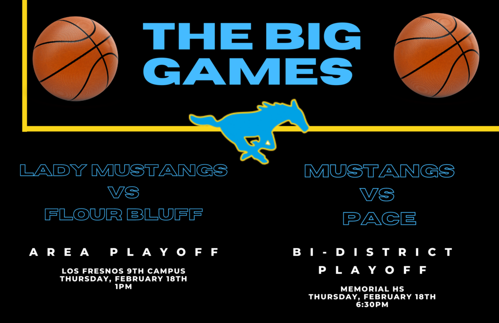 Basketball Playoffs