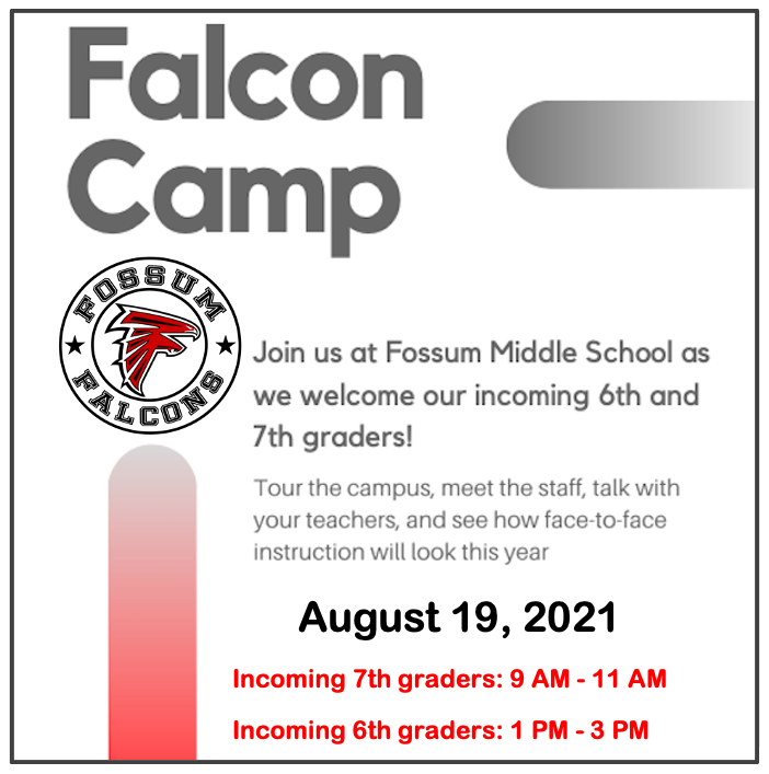 Falcon Camp Flyer
