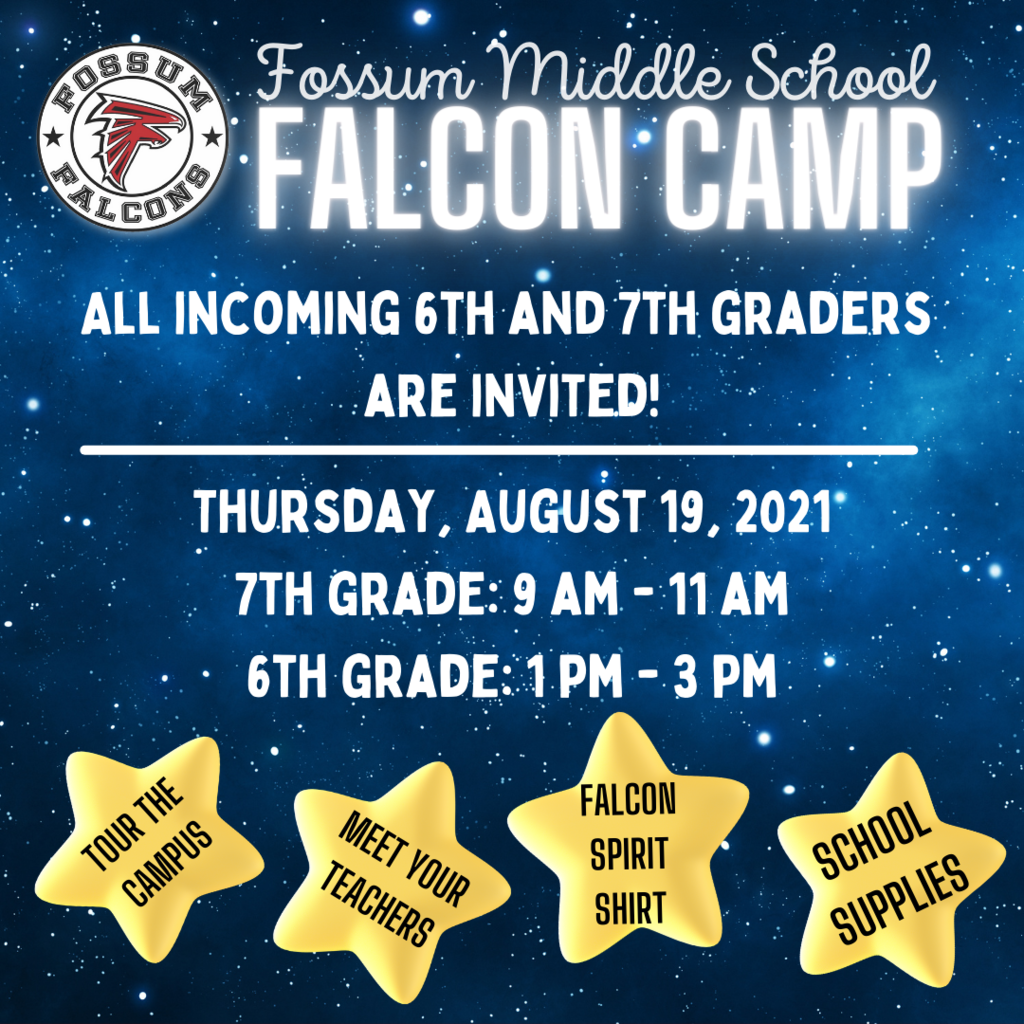 Falcon Camp