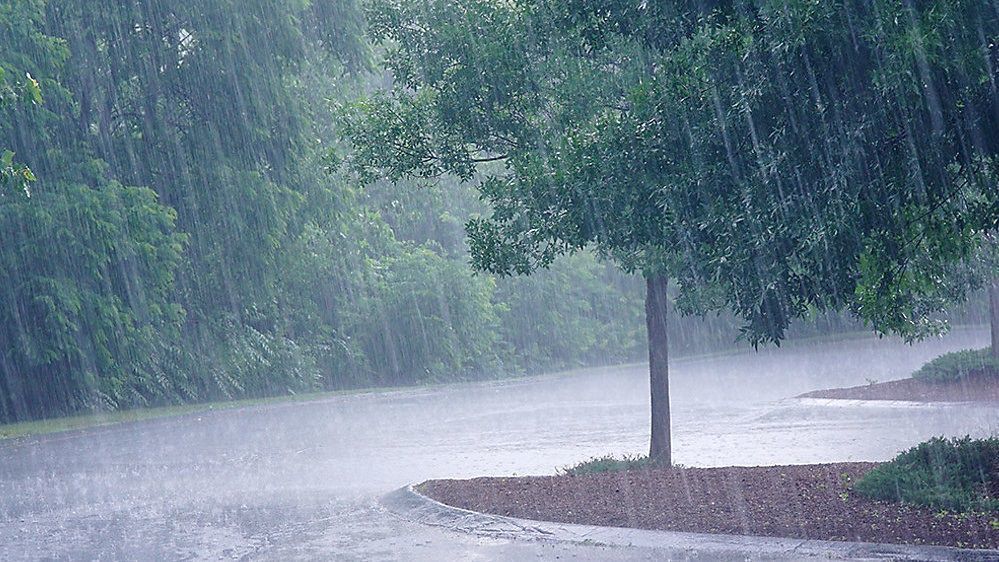 rainy day