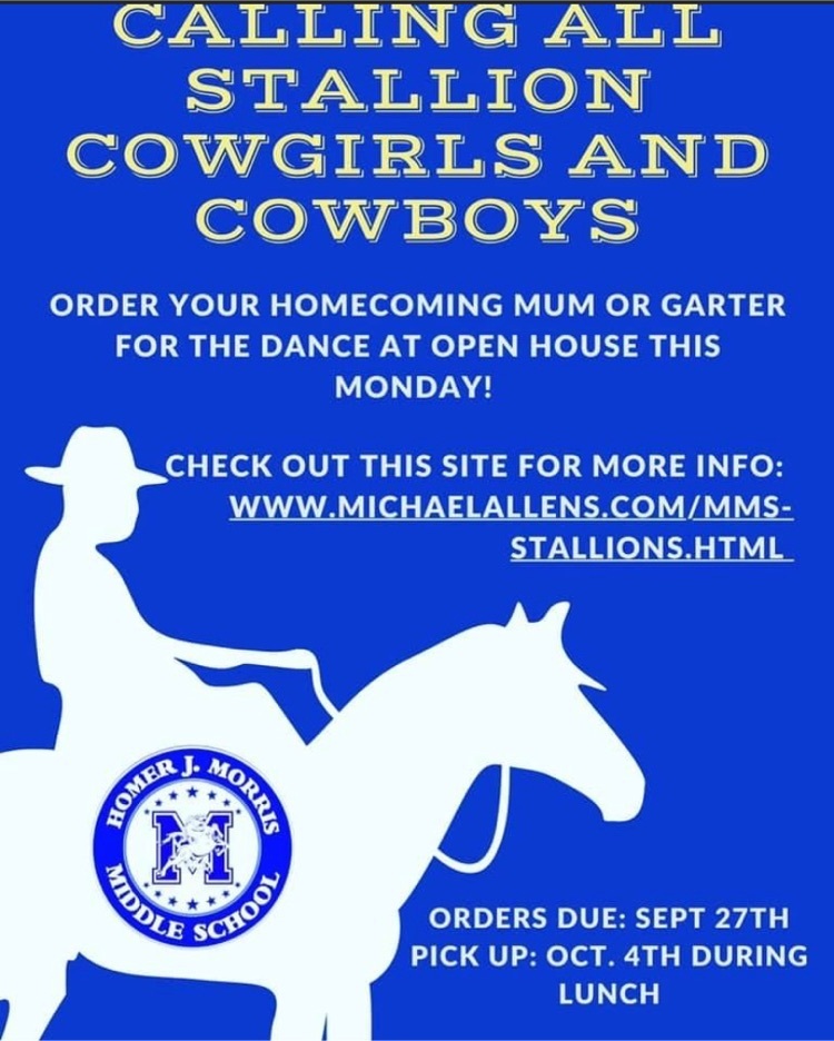 stallions