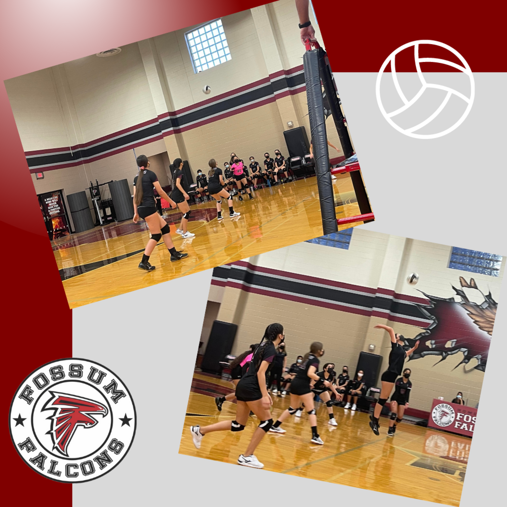 Volleyball Dark