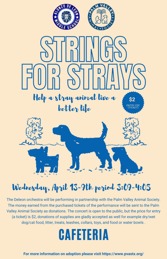 Strings for Strays
