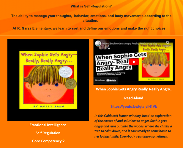 Self Regulation