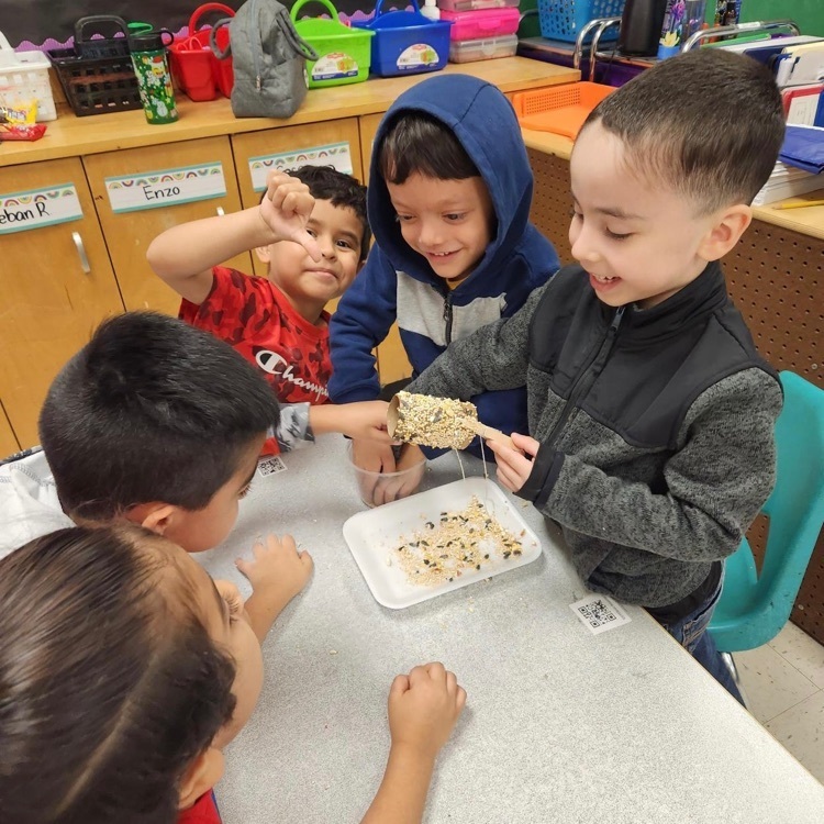 PK Bird Feeders