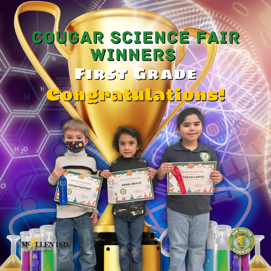 Science Fair English