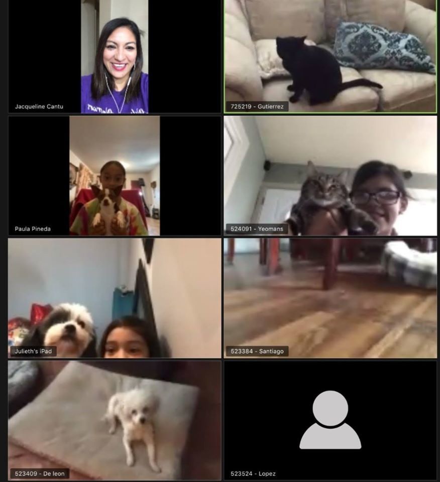 Students showing off their pets on video call